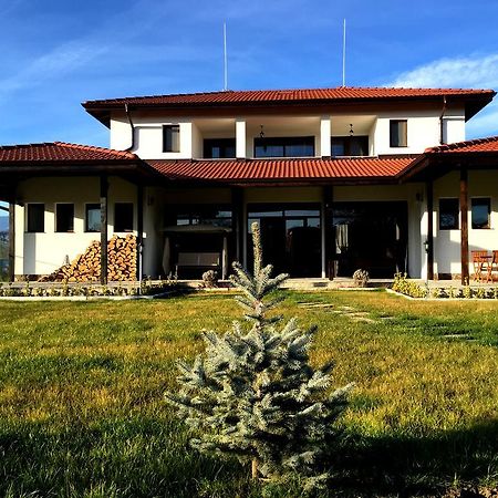Guest House Hasiendata 파벨 반야 외부 사진
